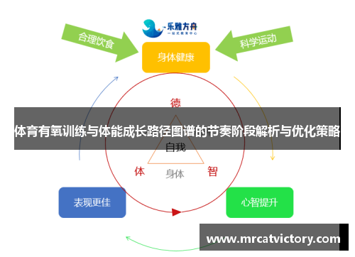 体育有氧训练与体能成长路径图谱的节奏阶段解析与优化策略