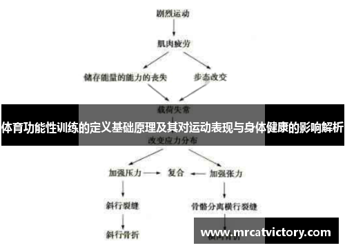 体育功能性训练的定义基础原理及其对运动表现与身体健康的影响解析