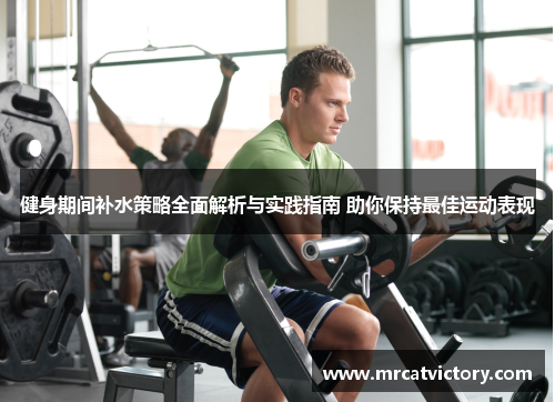 健身期间补水策略全面解析与实践指南 助你保持最佳运动表现